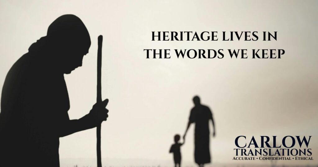Professional translation services celebrating language and heritage in South Africa